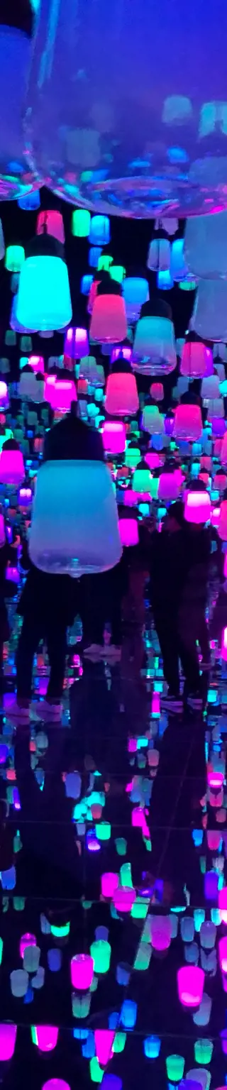 teamLab Borderless Museum Tokio